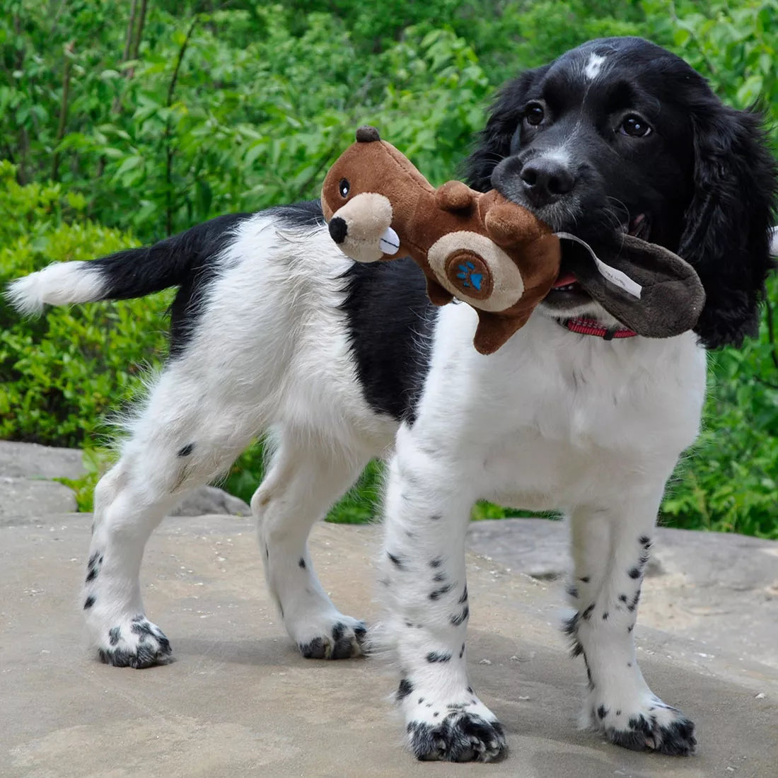 Coastal - Li'l Pals Paw Plush Dog Toys