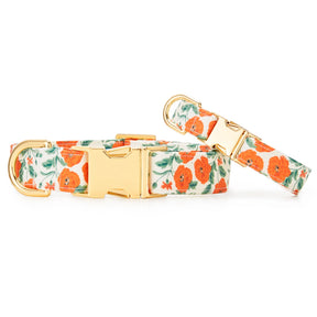 The Foggy Dog - Dog Collar Poppies