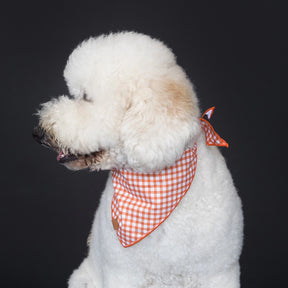 The Foggy Dog - Bandana Dog Be My Boo (Reversible)
