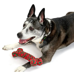Jax & Bones -  Dog Toy Holiday Bone Rope 11"