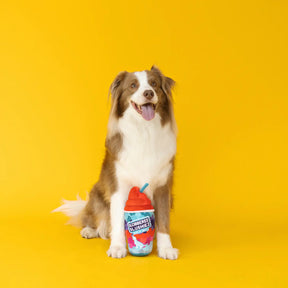 Wagsdale - Slobberee Slushiez Plush Dog Toy