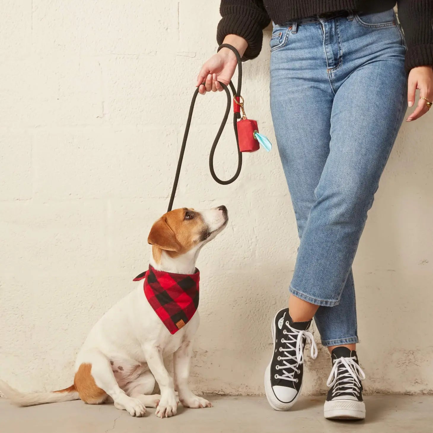 Foggy Dog - Dog Leash Climbing Rope 5 foot - Southern Agriculture 