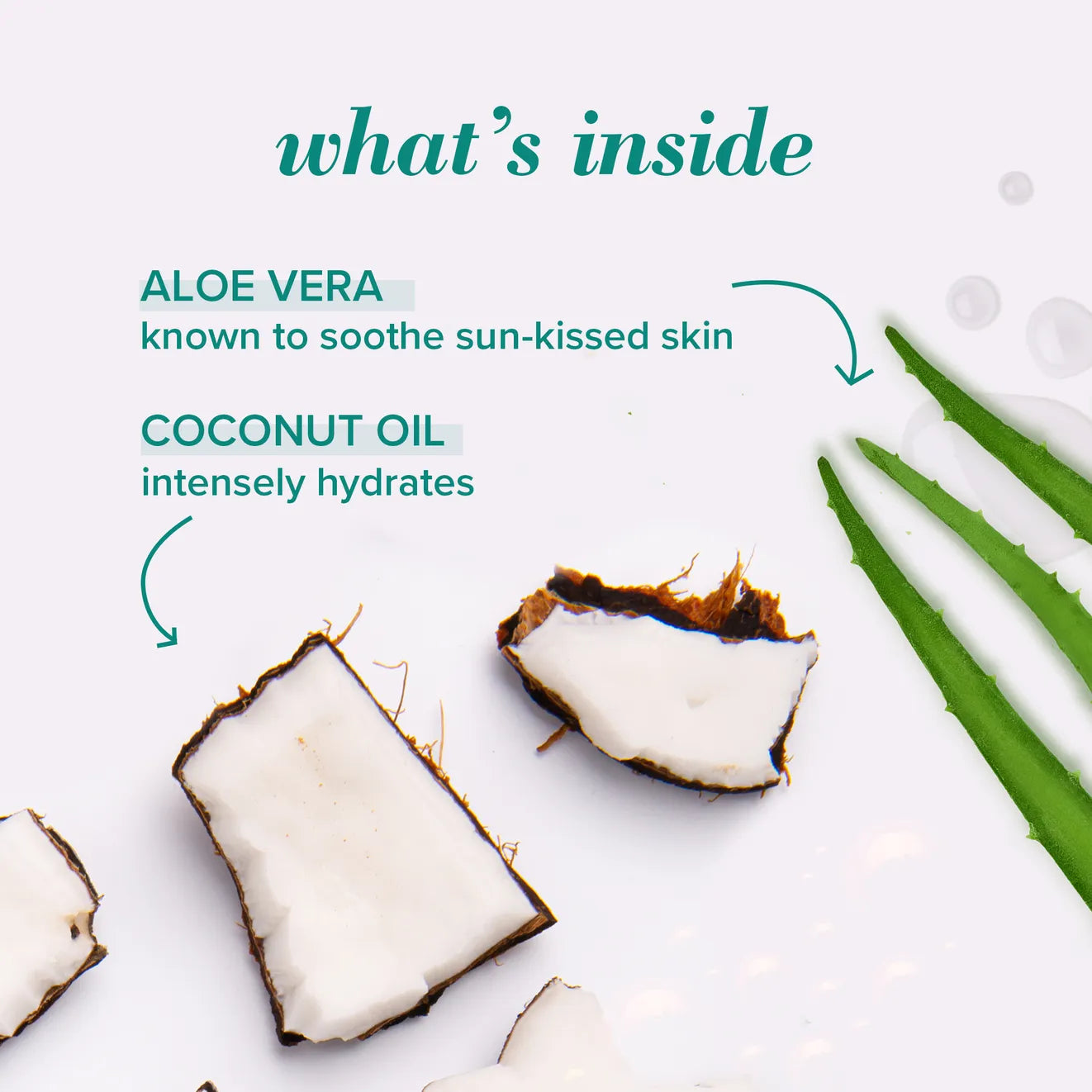 Burt's Bees - Lip Balm AfterSun Soother Aloe - Southern Agriculture 