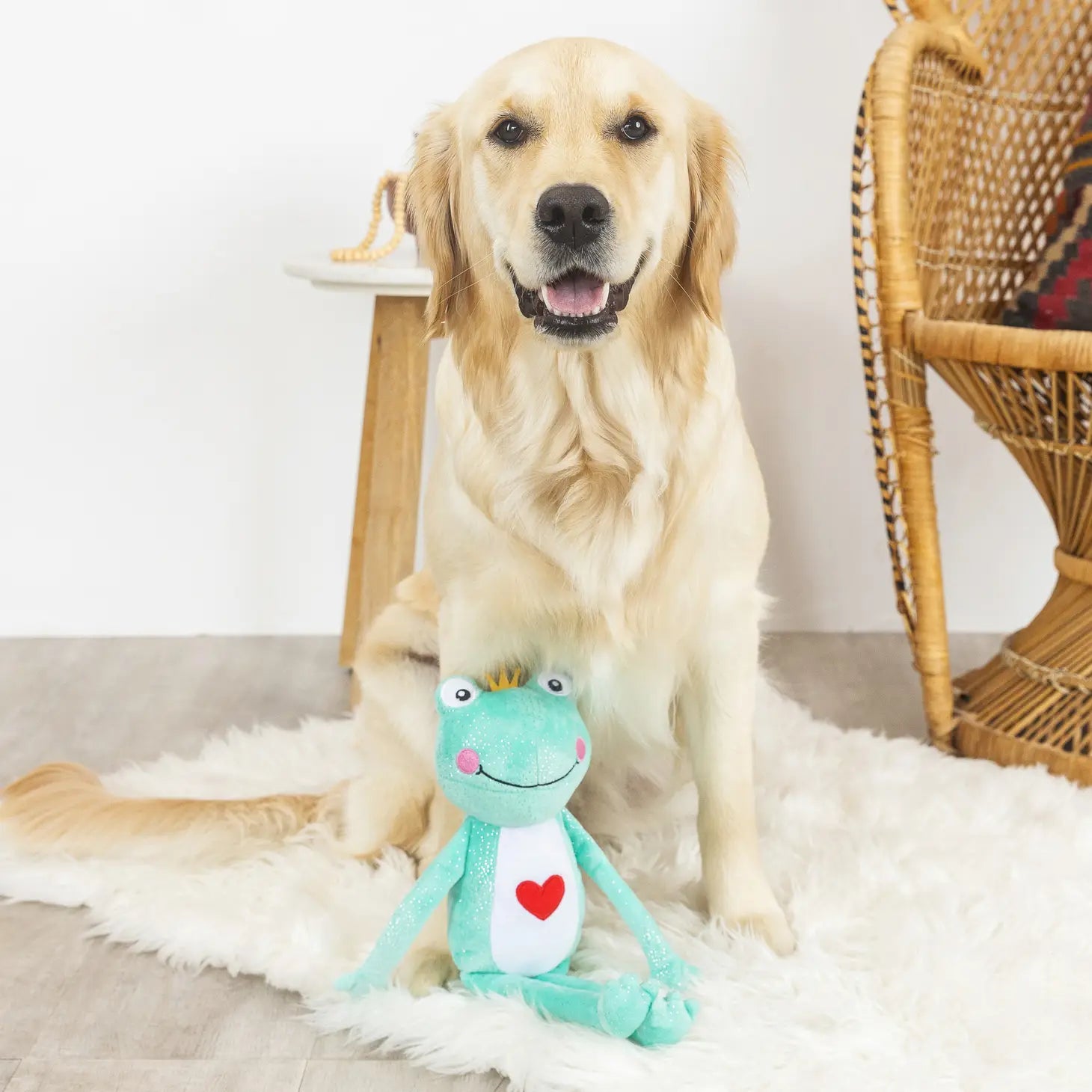 Petshop by Fringe Studio - Prince Charming Dog Toy - Southern Agriculture 