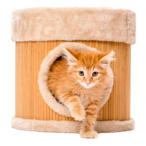Litterbox.com - Bamboo Cat Cavern