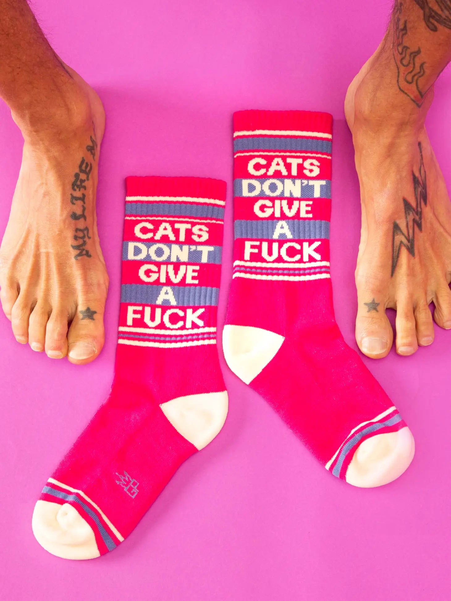 Gumball Poodle - Cats Dont Give a F