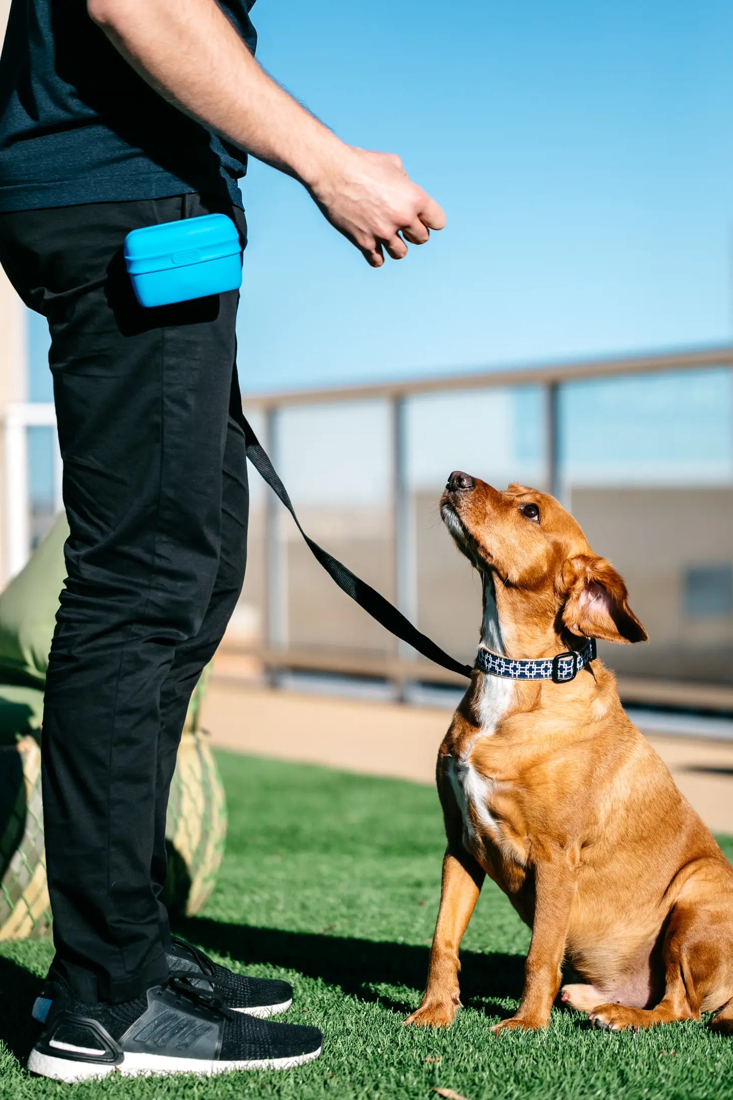 Dexas International - Pooch Pouch - Southern Agriculture 