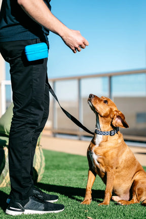 Dexas International - Pooch Pouch - Southern Agriculture 