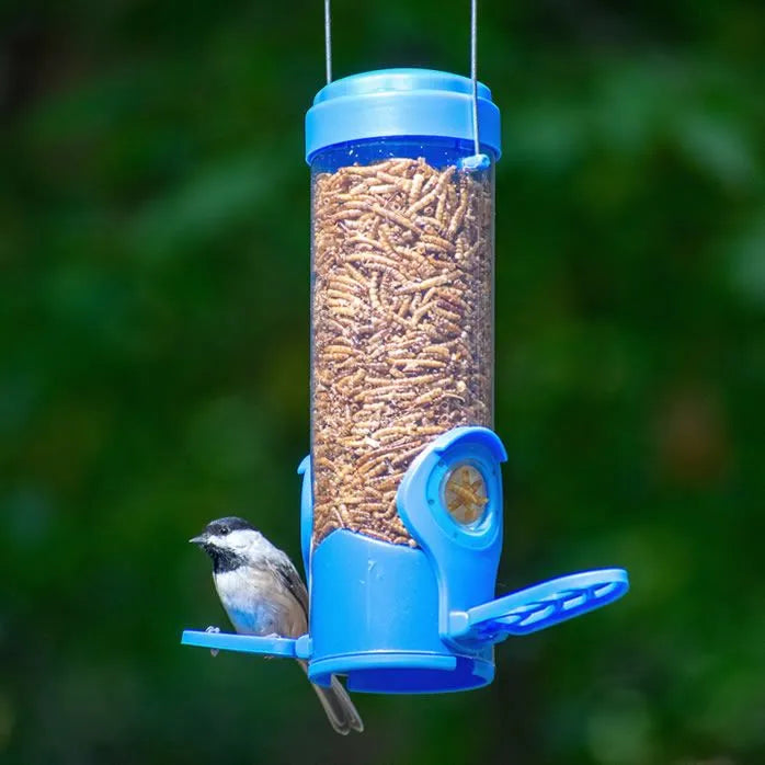 Perky Pet - Dried Mealworm Feeder