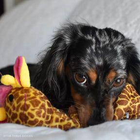 Coastal - Li'l Pals Plush Crinkle Dog Toy