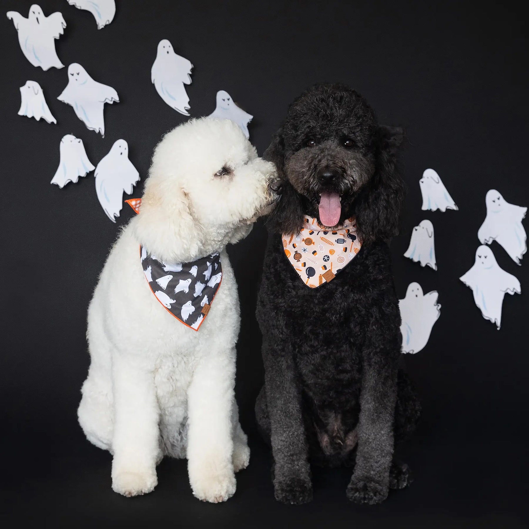 The Foggy Dog - Bandana Tricks for Treats (Reversible)