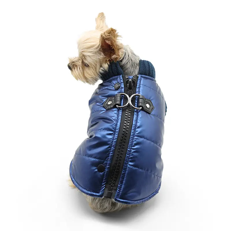 Dogo Pet - Coat Runner Metallic Blue - Southern Agriculture 