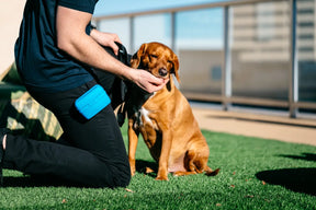 Dexas International - Pooch Pouch - Southern Agriculture 