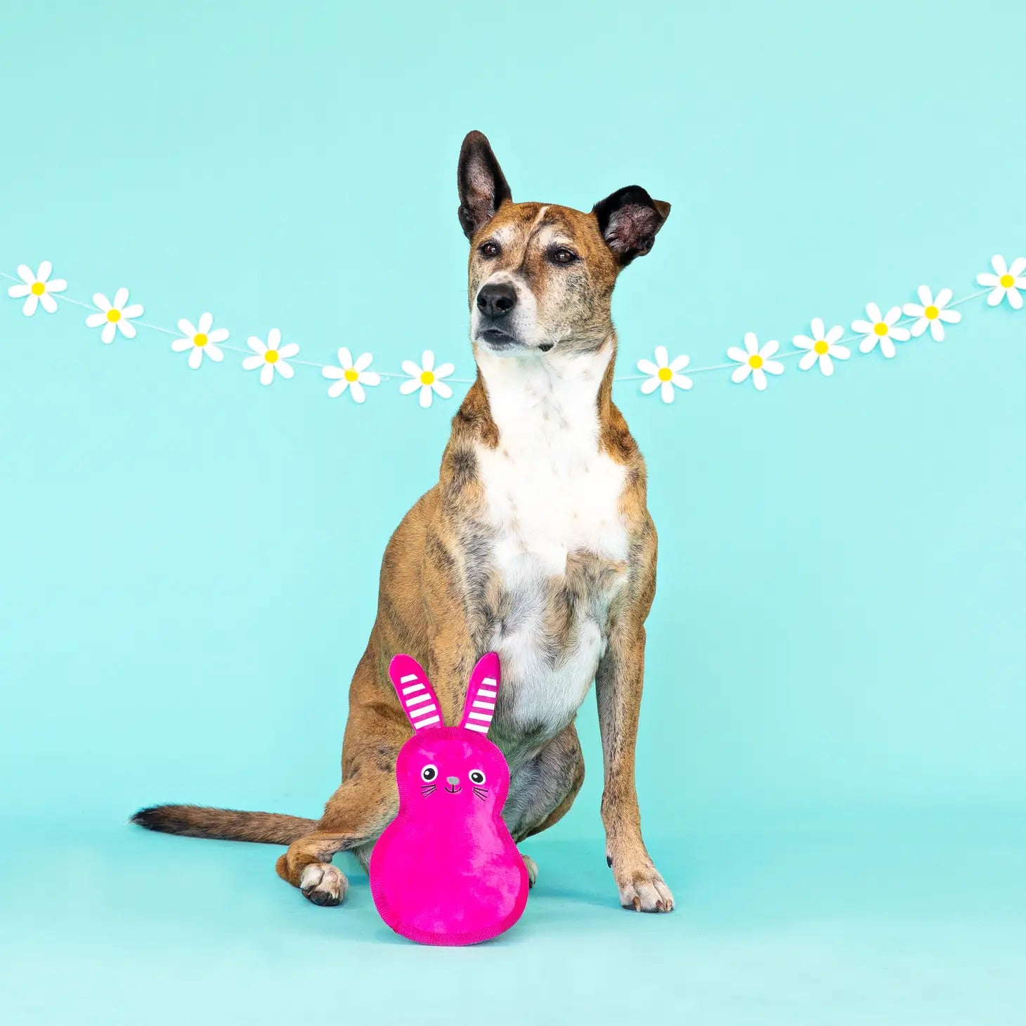 Petshop by Fringe Studio - Miss Cottontail Durable Dog Toy Plush - Southern Agriculture 