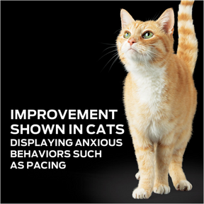 Purina Pro Plan Veterinary Diets - Calming Care Feline Calming Probiotic Supplement - Southern Agriculture 