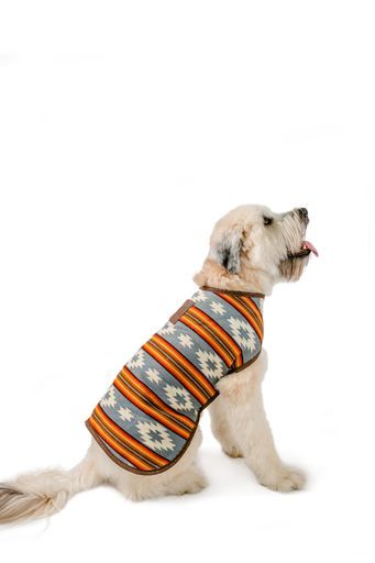 Chilly Dog - Dog Coat Denim Sunset - Southern Agriculture 