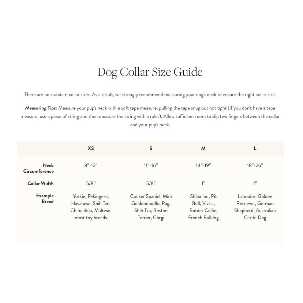 The Foggy Dog - Dog Collar Poppies