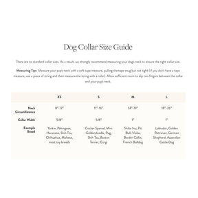The Foggy Dog - Dog Collar Poppies