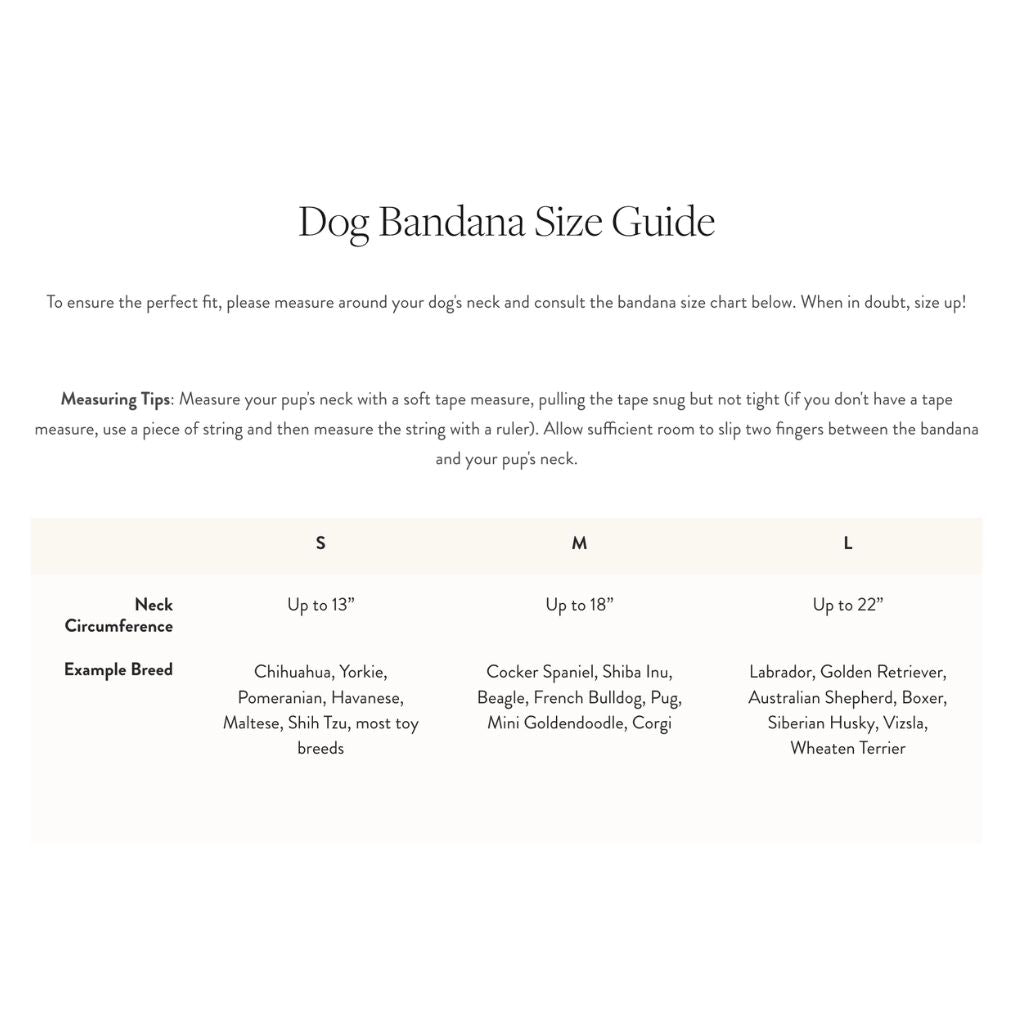 The Foggy Dog - Bandana Tricks for Treats (Reversible)