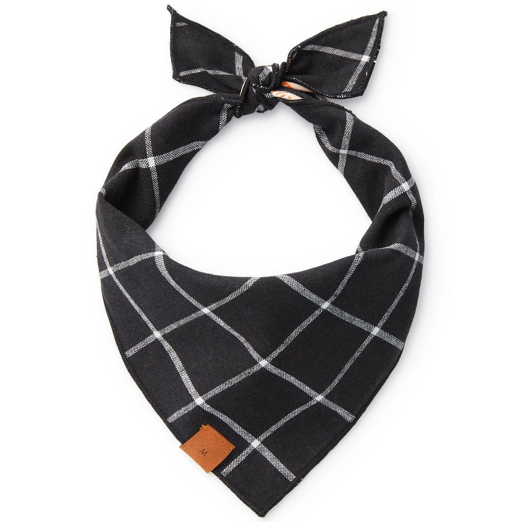 The Foggy Dog - Bandana Tricks for Treats (Reversible)