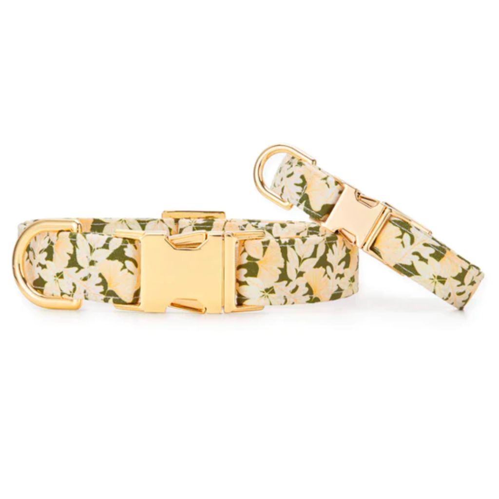 The Foggy Dog - Dog Collar Autumn Leaves