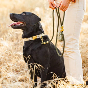 The Foggy Dog - Dog Collar Autumn Leaves