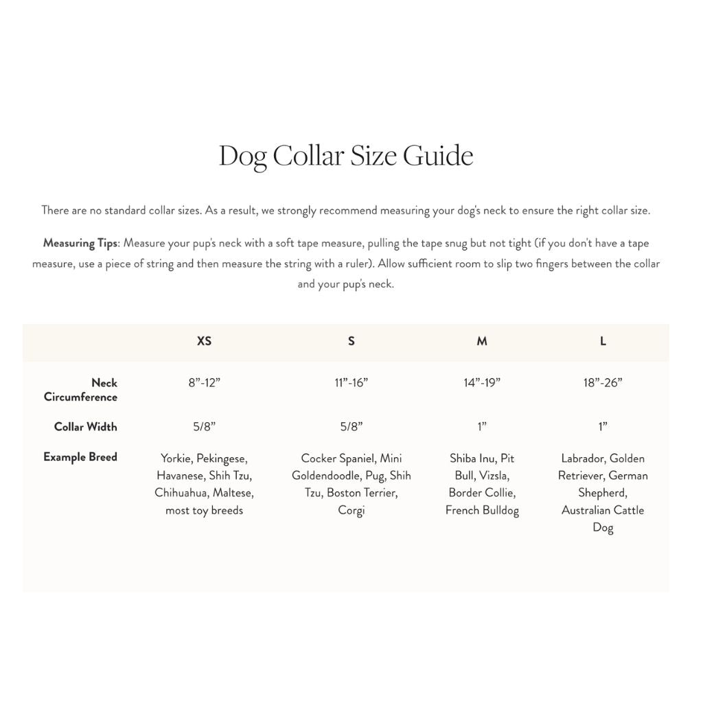 The Foggy Dog - Dog Collar Cornucopia Flannel