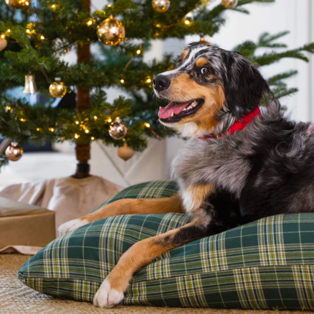 The Foggy Dog - Dog Bed Mossy Plaid Flannel