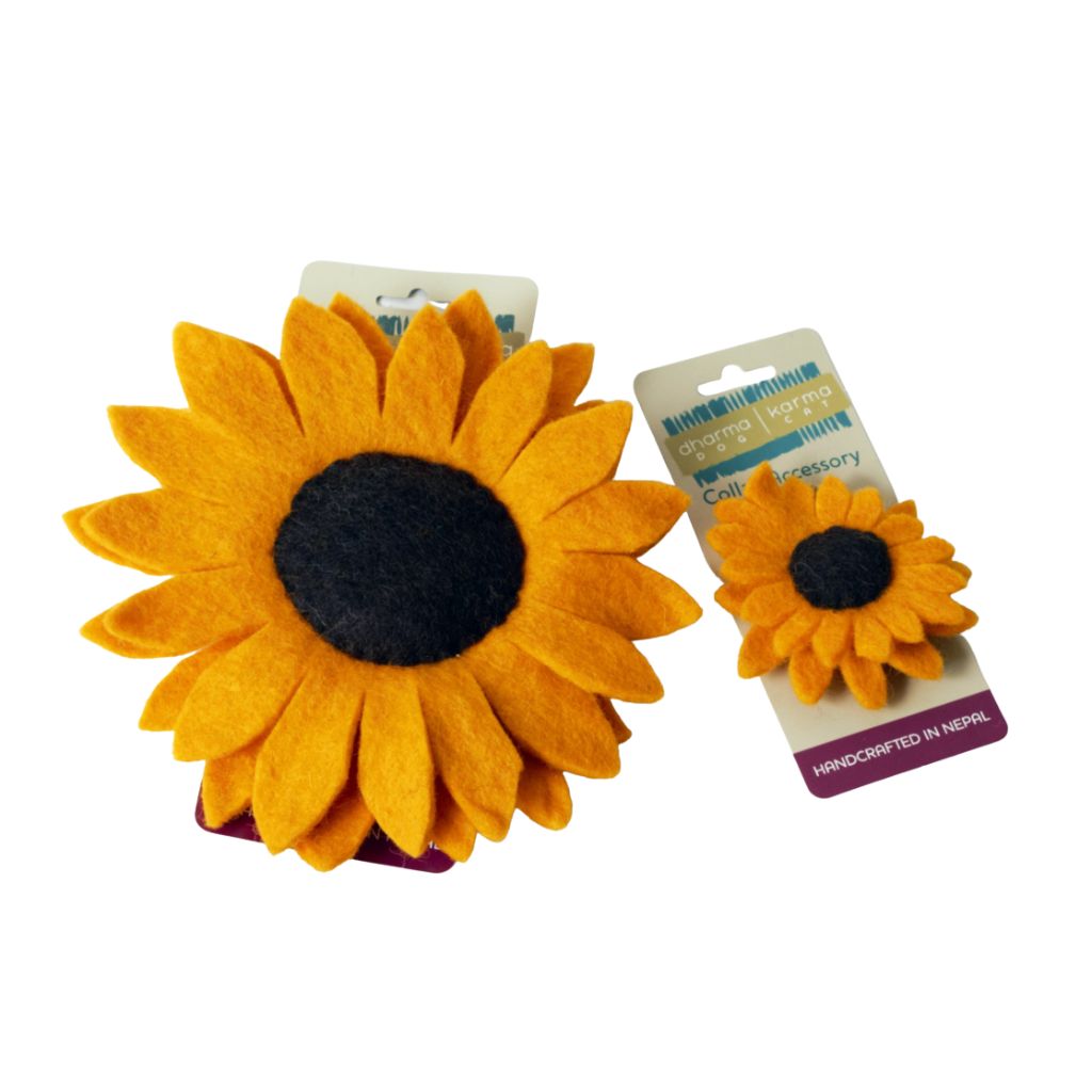 Dharma Dog Karma Cat - Sunflower Collar Accessory