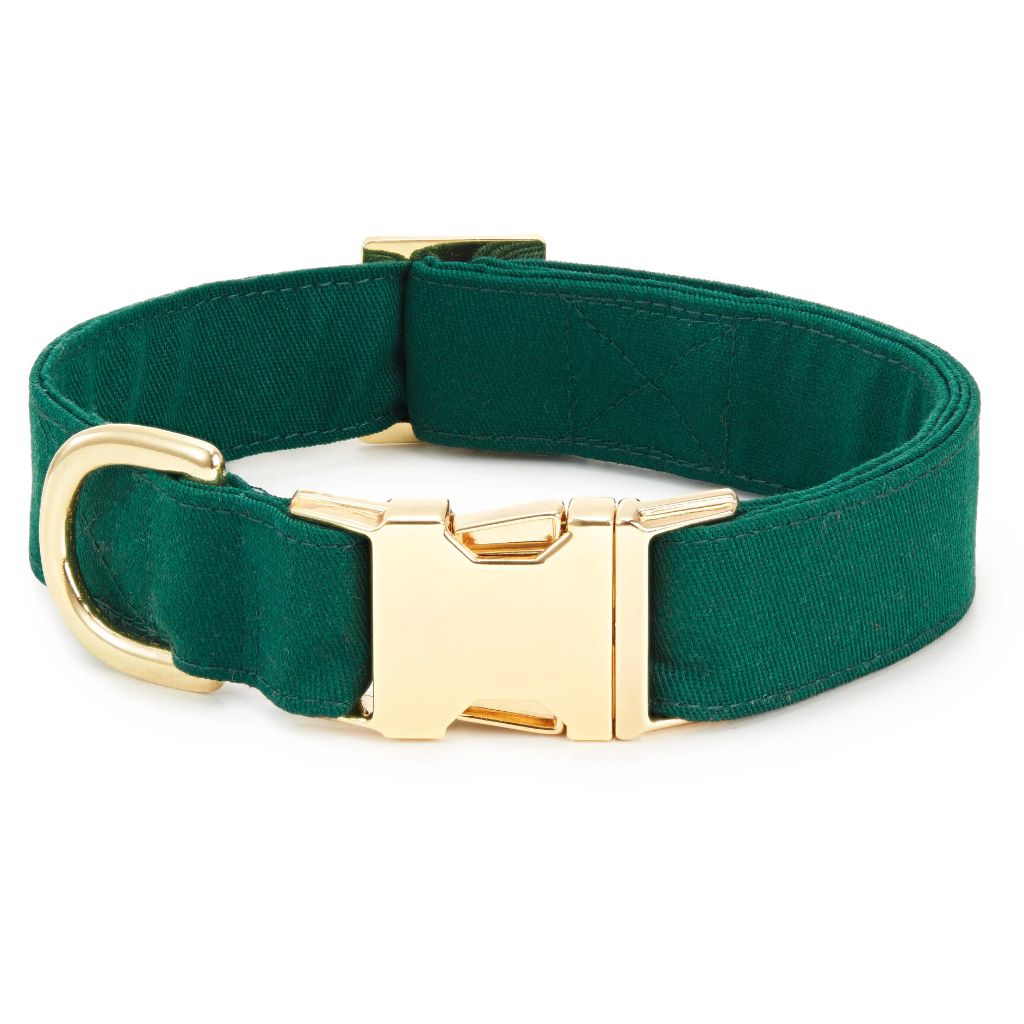The Foggy Dog - Dog Collar Evergreen