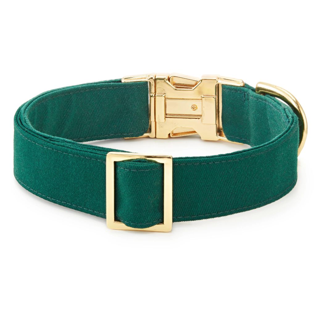 The Foggy Dog - Dog Collar Evergreen