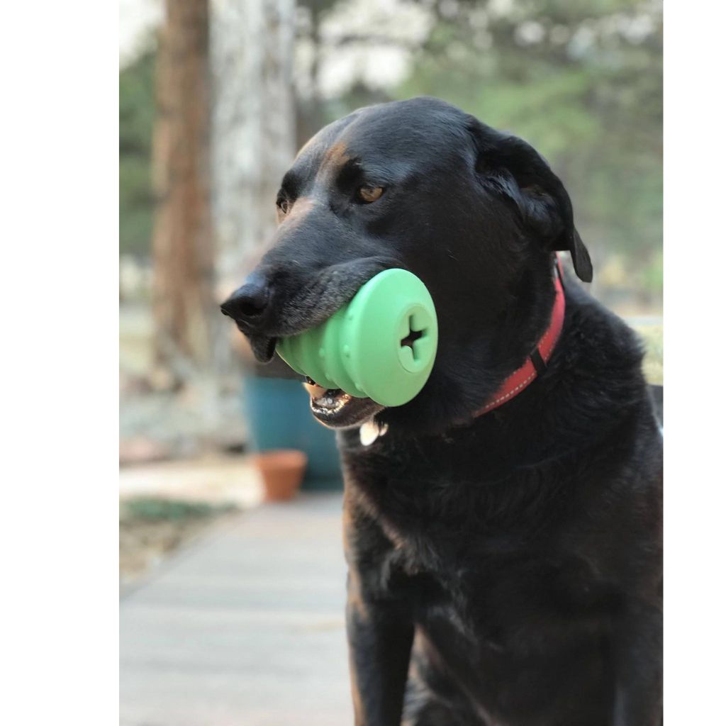 SodaPup - Christmas Tree Treat Dispenser & Dog Chew Toy