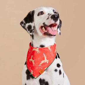 The Foggy Dog - Bandana Dog Deer To My Heart