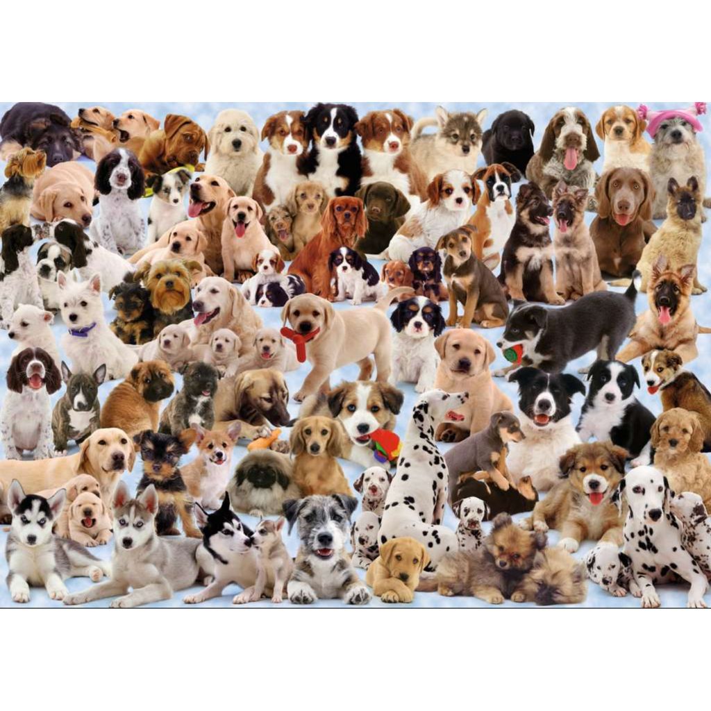 Ravensburger - Puzzle Dogs Galore