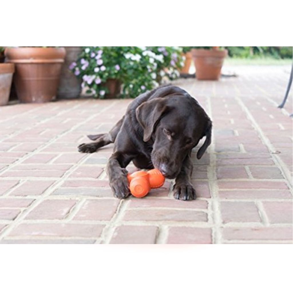 Premier Pet Products - PetSafe Sportsman's Squeak & Treat Troog