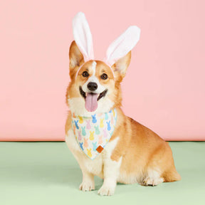The Foggy Dog - Bandana Dog Sugar Bunnies