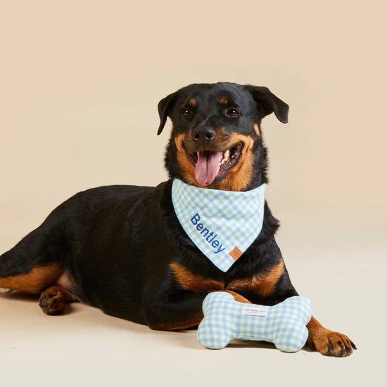 The Foggy Dog - Bandana Dog Cornflower Blue - Southern Agriculture 