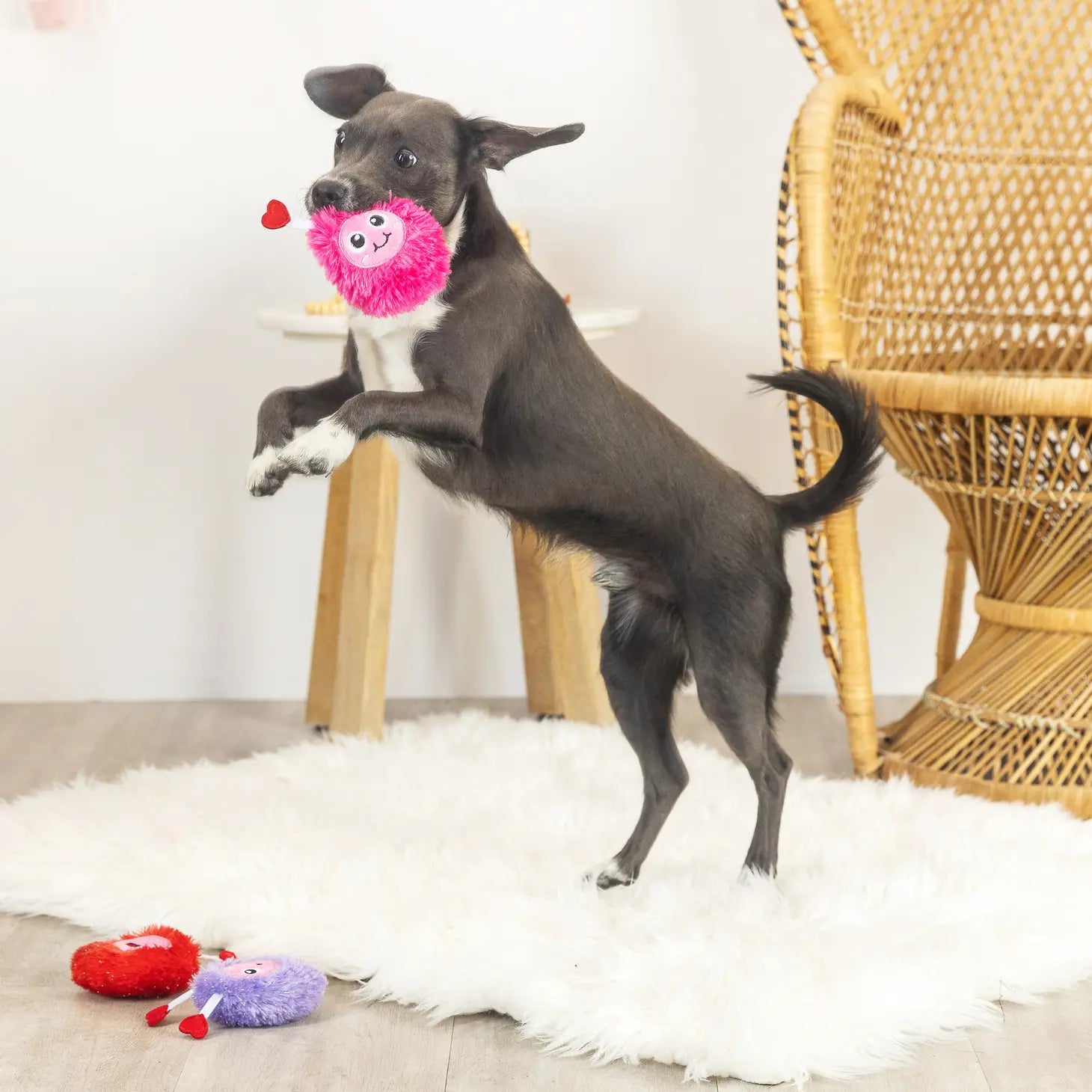 Petshop by Fringe Studio - Love Connection Dog Toy - Southern Agriculture 