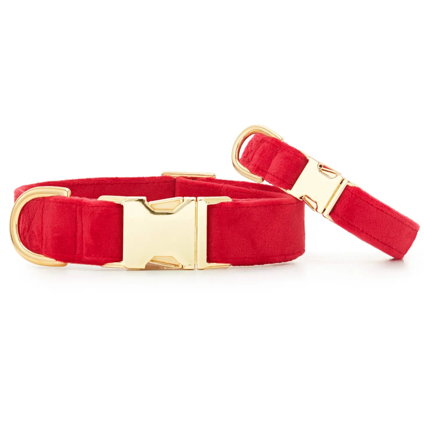 The Foggy Dog - Dog Collar Velvet Cranberry - Southern Agriculture 