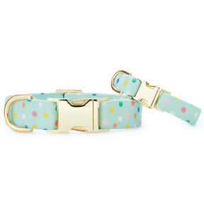 The Foggy Dog - Dog Collar Confetti
