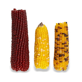 Vitakraft - Mini-Pop Ears of Indian Corn for Small Animals