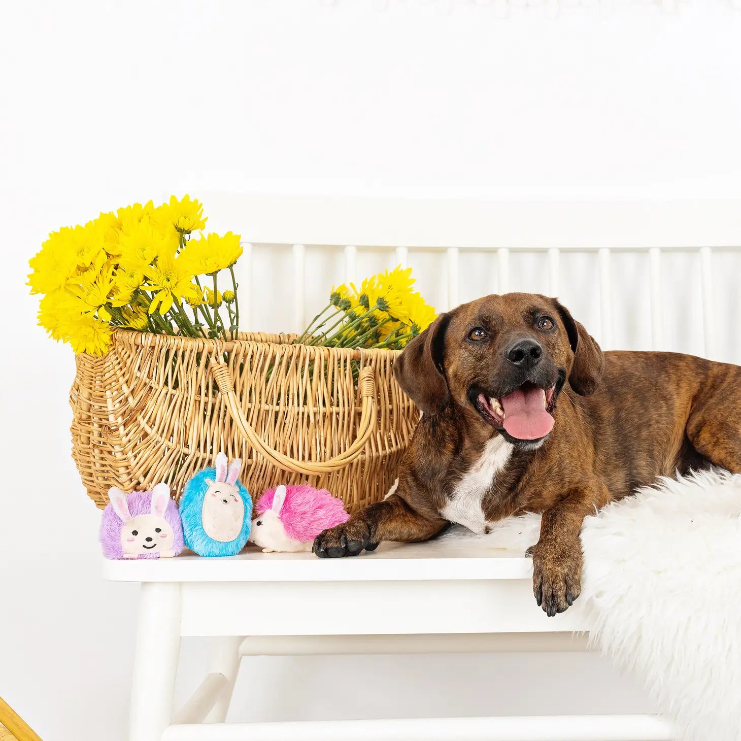 Petshop by Fringe Studio -  Spring Fling Dog Toy Set Plush 3 Piece - Southern Agriculture 
