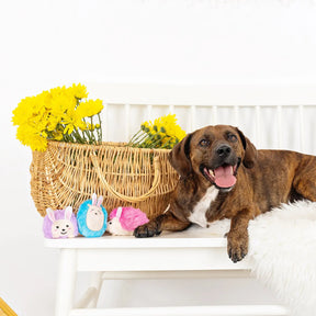 Petshop by Fringe Studio -  Spring Fling Dog Toy Set Plush 3 Piece - Southern Agriculture 