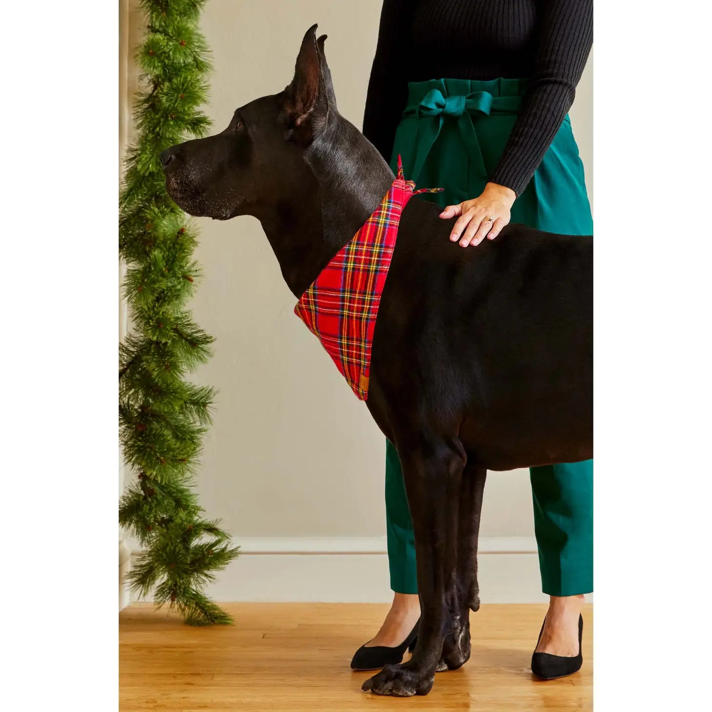 The Foggy Dog - Bandana Holiday Plaid Flannel