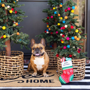 Petshop by Fringe Studio - Dog Toy Hide & Seek Toy Merry Woofmas Stocking & 2 Bones