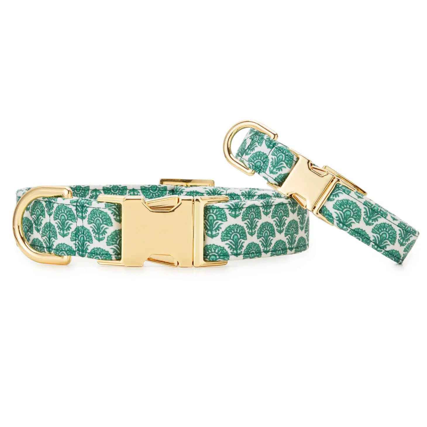 The Foggy Dog - Dog Collar Verde