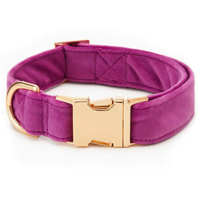 The Foggy Dog - Dog Collar Velvet Valentine's Day Plum