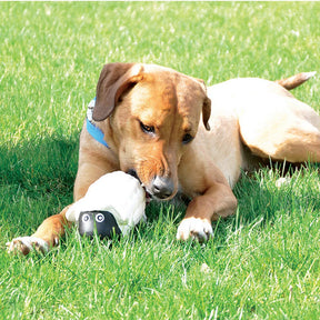 Coastal - Sheep Latex Dog Toy - Southern Agriculture 
