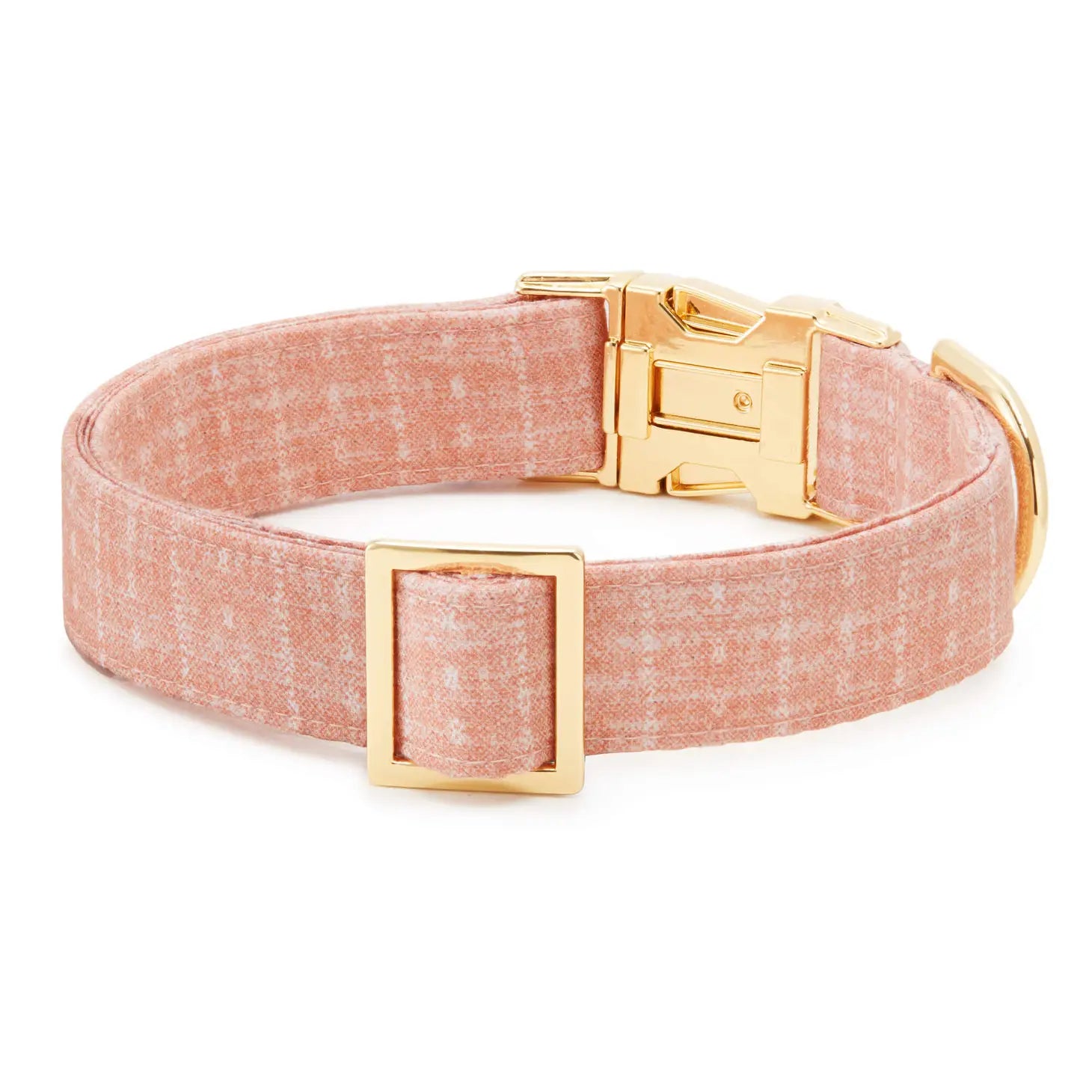 The Foggy Dog - Dog Collar Petra