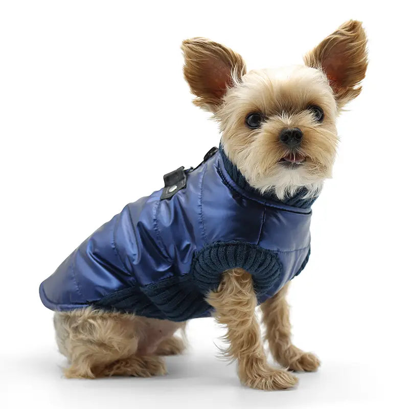 Dogo Pet - Coat Runner Metallic Blue - Southern Agriculture 